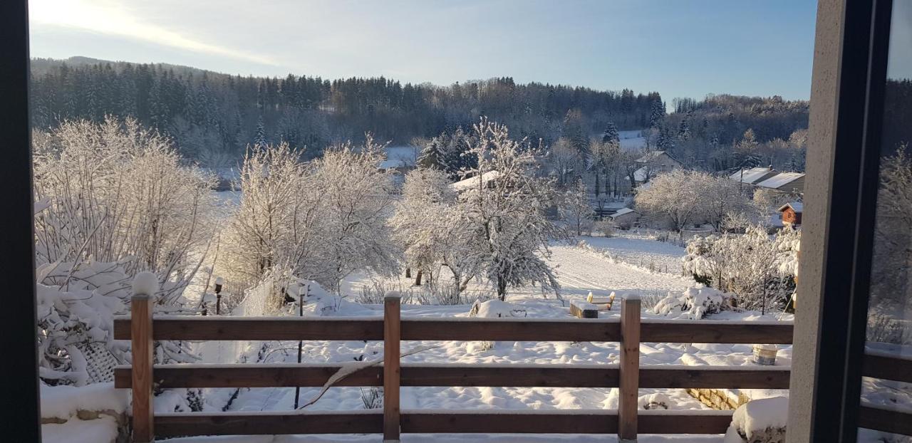 Le Jura En Toutes Saisons Piscine, Spa, Location Vtt, Balades 2Cv, Climatisation Bonlieu Zewnętrze zdjęcie