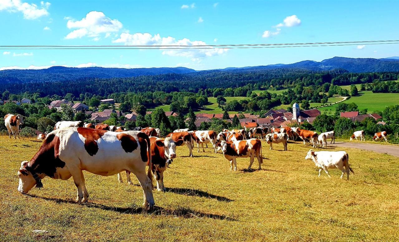 Le Jura En Toutes Saisons Piscine, Spa, Location Vtt, Balades 2Cv, Climatisation Bonlieu Zewnętrze zdjęcie